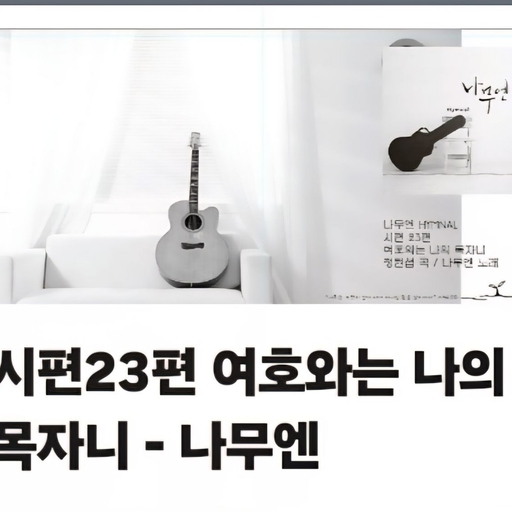 피드 이미지