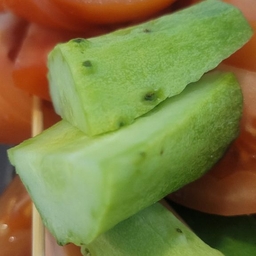 피드에 업로드 된 이미지