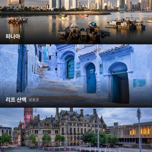 피드 이미지