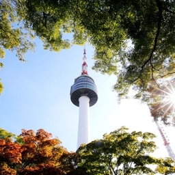 공지사항에 업로드 된 이미지