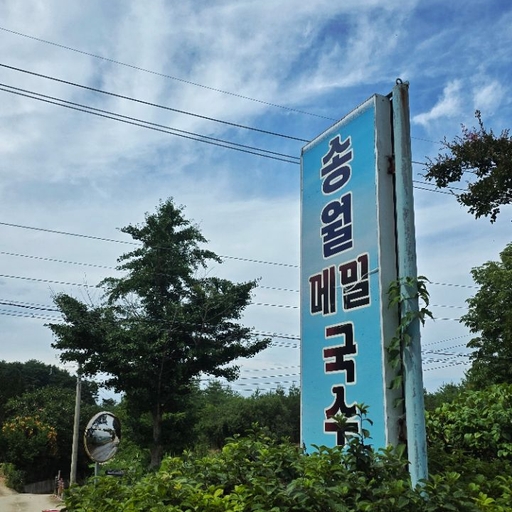 피드 이미지