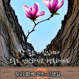 피드에 업로드 된 이미지