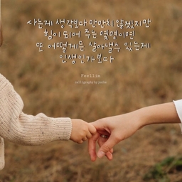 피드에 업로드 된 이미지