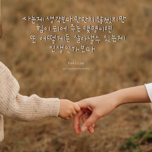 피드 이미지
