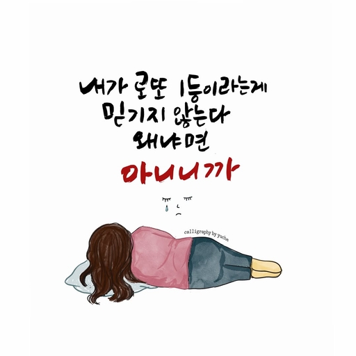 피드 이미지
