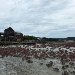 피드에 업로드 된 이미지