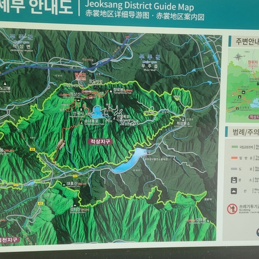 피드 이미지