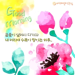 피드에 업로드 된 이미지