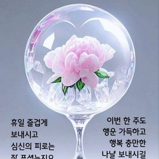 피드 이미지