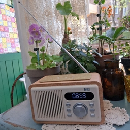 피드에 업로드 된 이미지