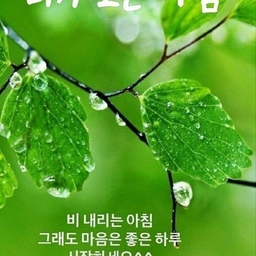 피드에 업로드 된 이미지