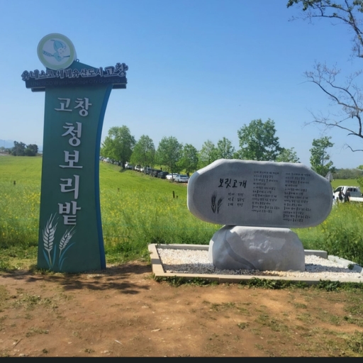 피드 이미지