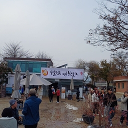 피드에 업로드 된 이미지