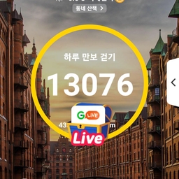 피드에 업로드 된 이미지