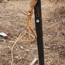 참가 유저 프로필