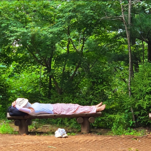 피드 이미지