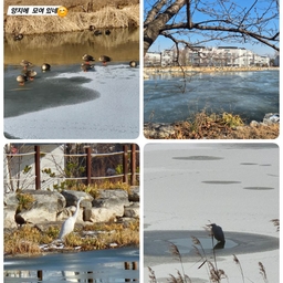 피드에 업로드 된 이미지