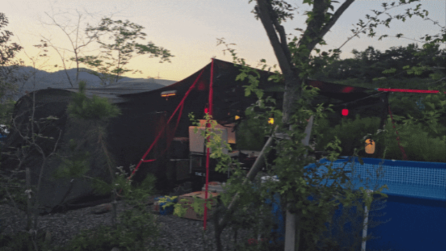 피드에 업로드 된 이미지