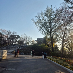 피드에 업로드 된 이미지