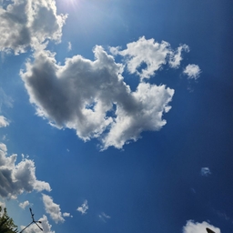 피드에 업로드 된 이미지