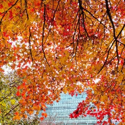 피드에 업로드 된 이미지