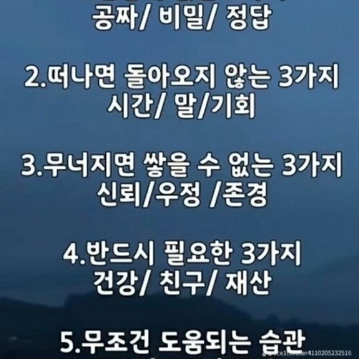 피드 이미지