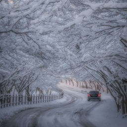 피드에 업로드 된 이미지