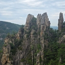 피드 작성자 프로필
