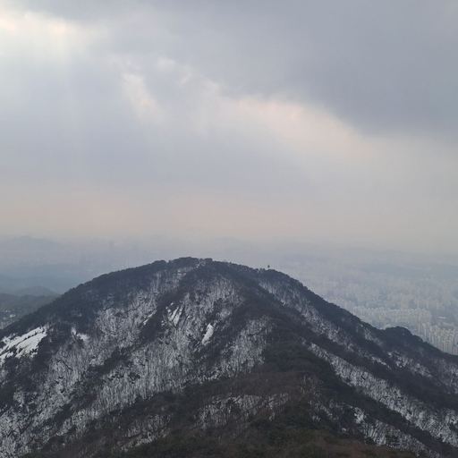 피드 이미지