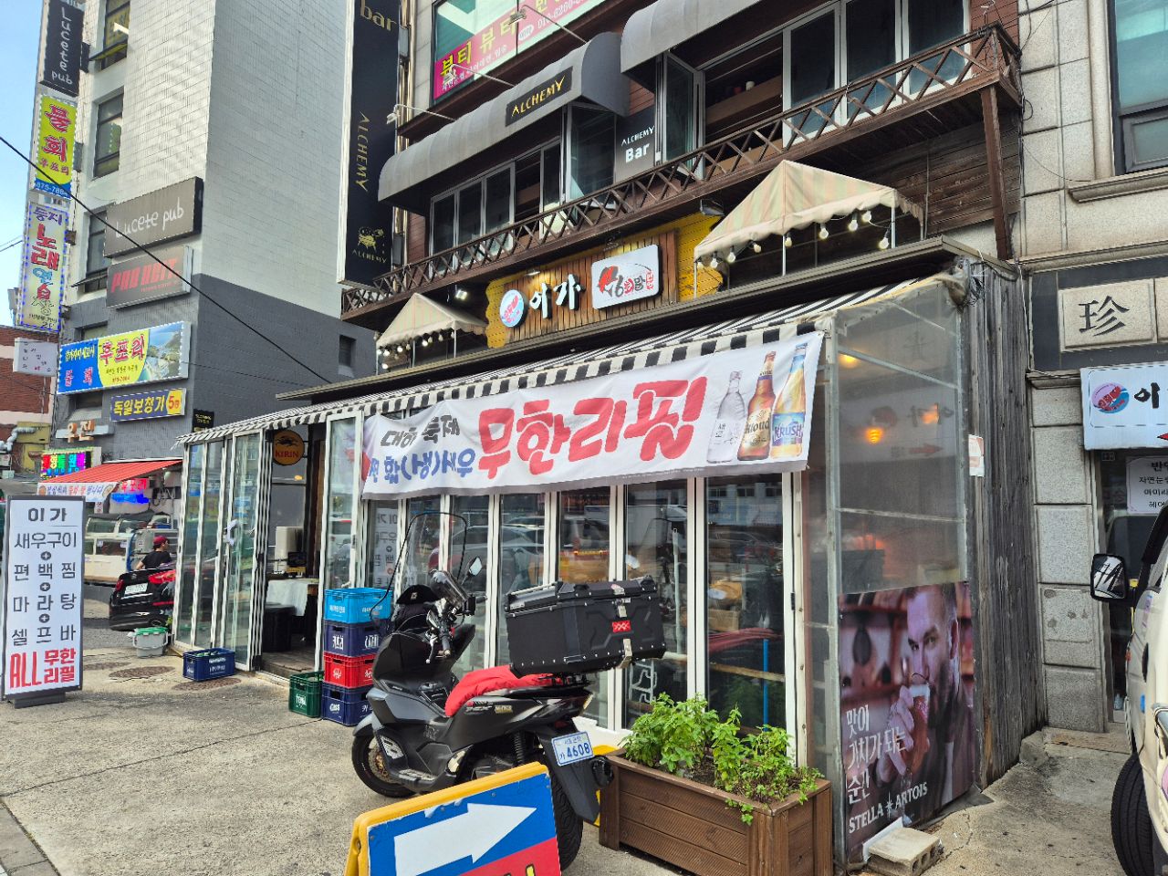 피드 이미지
