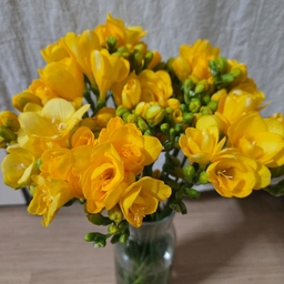 피드에 업로드 된 이미지