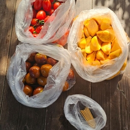 피드에 업로드 된 이미지