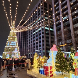 피드에 업로드 된 이미지