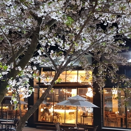 피드에 업로드 된 이미지