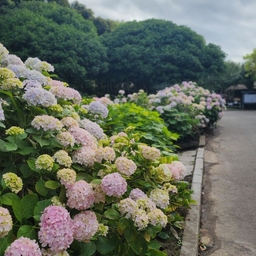 ํผ๋์ ์
๋ก๋ ๋ ์ด๋ฏธ์ง