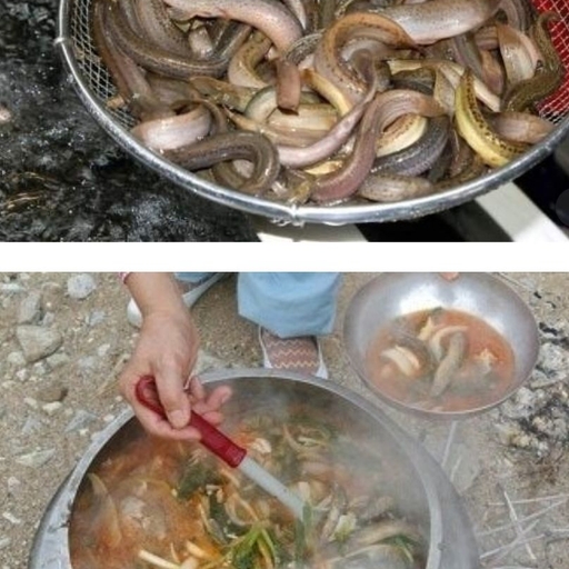 피드 이미지