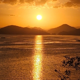 피드에 업로드 된 이미지