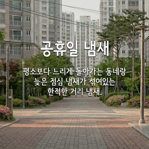피드 이미지