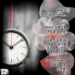 피드에 업로드 된 이미지