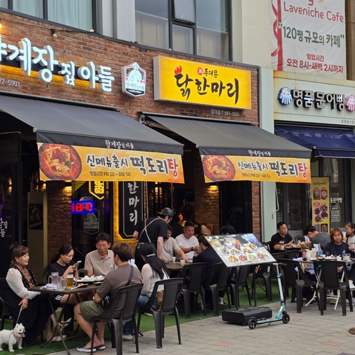 피드 이미지