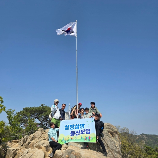 피드 이미지