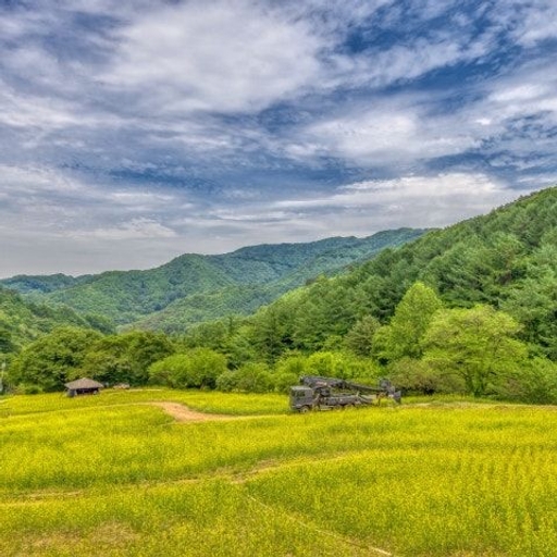 피드 이미지