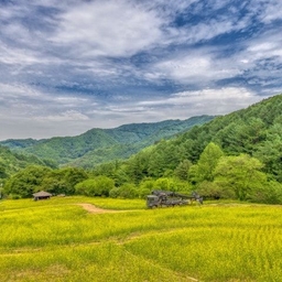 피드에 업로드 된 이미지