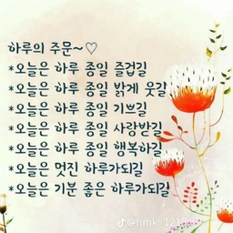 피드에 업로드 된 이미지