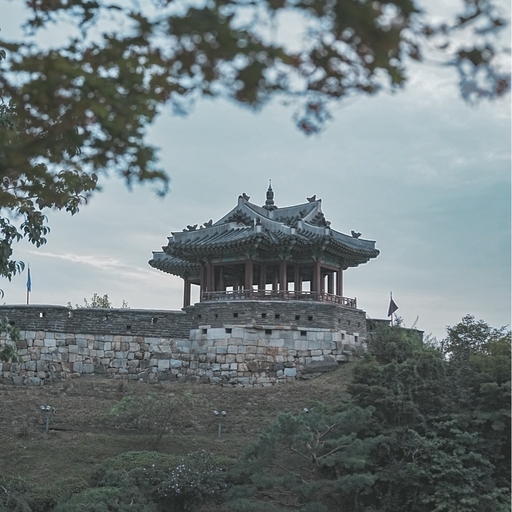 피드 이미지