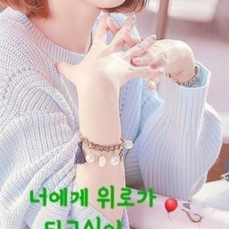 피드에 업로드 된 이미지