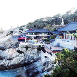 피드에 업로드 된 이미지