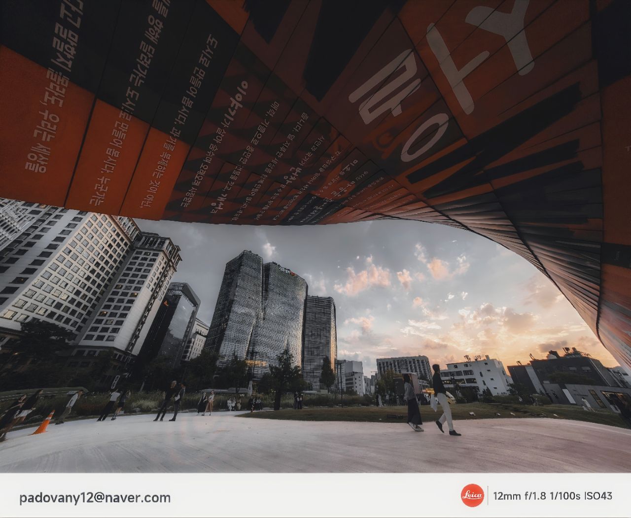 피드 이미지