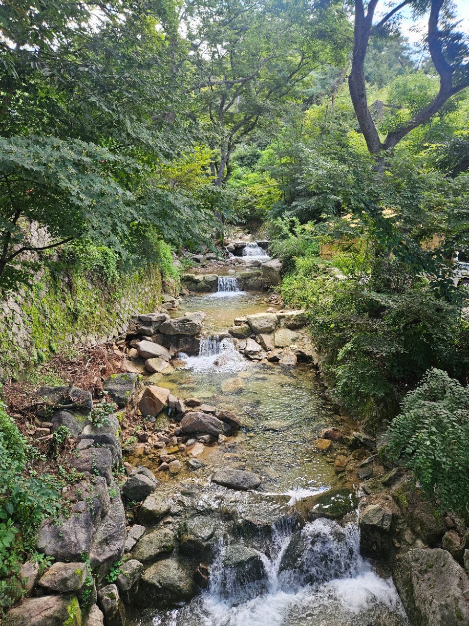 피드 이미지