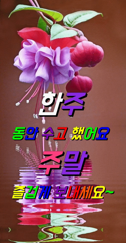 피드에 업로드 된 이미지